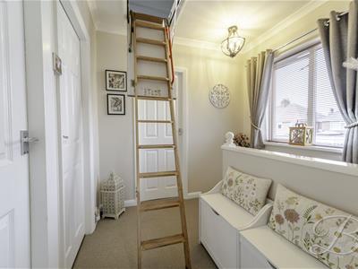 Picture 29